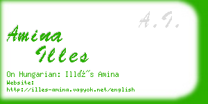 amina illes business card